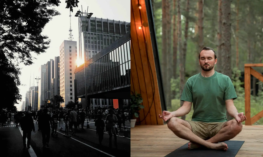 3D and 5D: Unveiling the Parallel Worlds on Earth