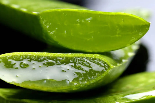 Aloe Vera healing sunburn