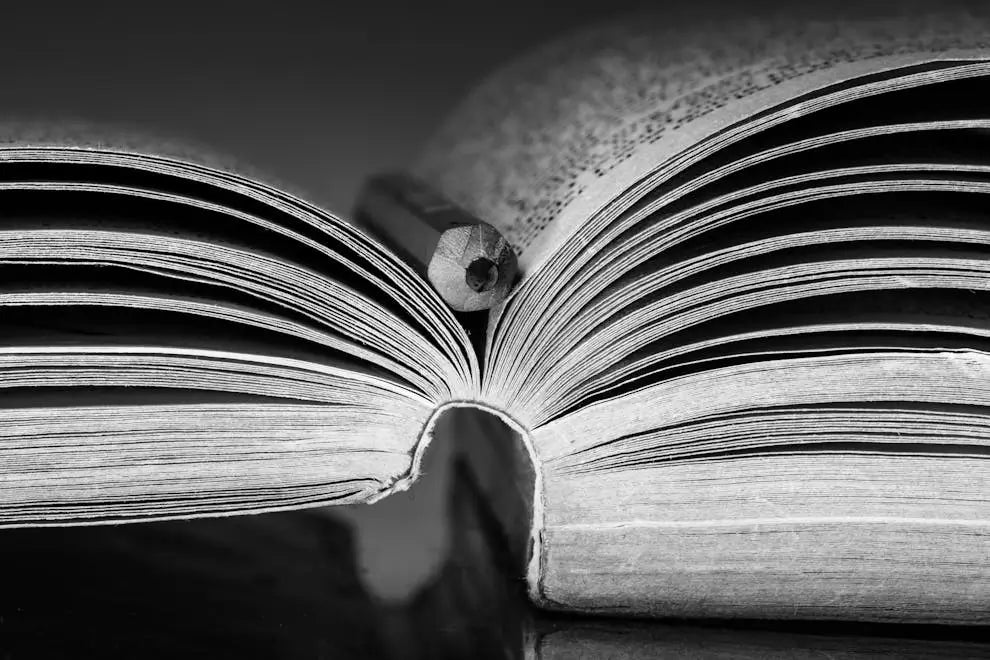 The Law of Connection: Every Step Matters