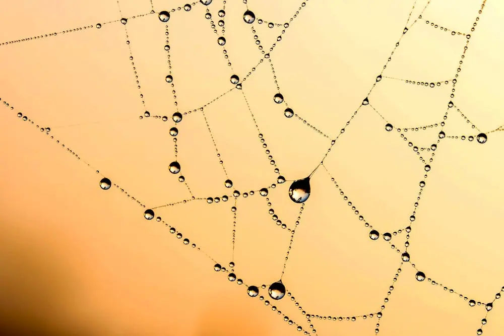 Delicate spider web adorned with glistening water droplets against a warm yellow background, symbolising subtle connections, hidden influences, and the intricate flow of energy, thought, and emotion
