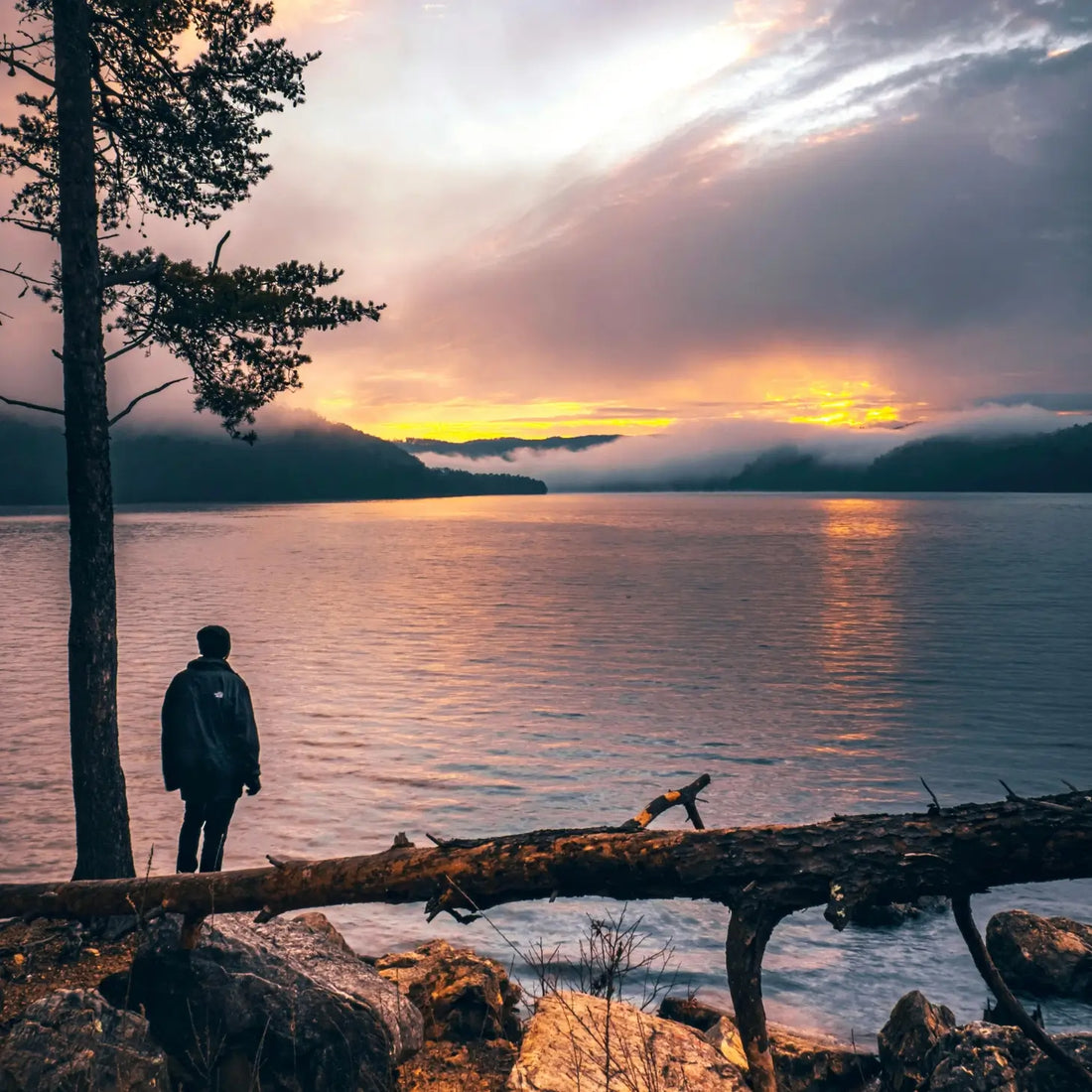 Finding Calm in Chaos: How Slowing Down and Listening to Yourself Restores Balance in Daily Life