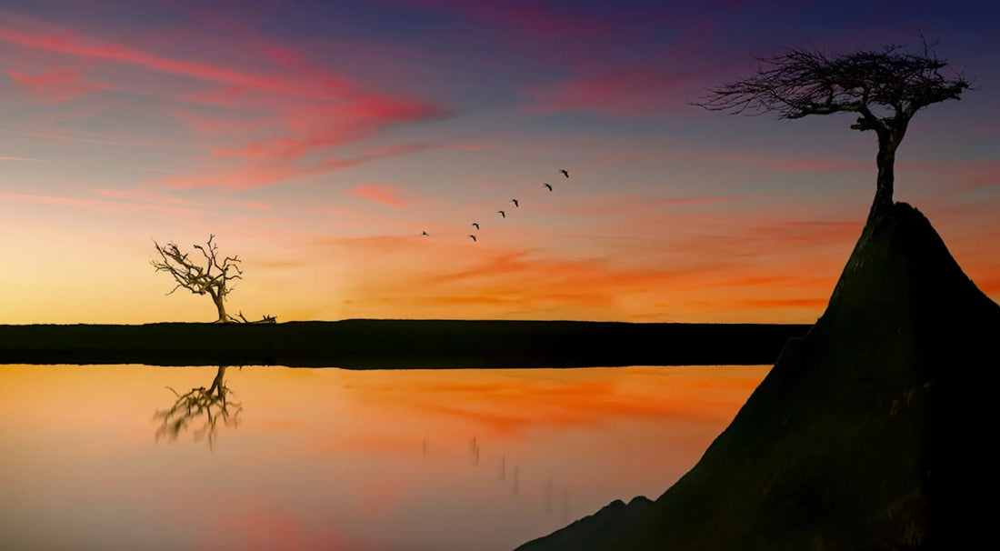 The Ageless Soul: Wisdom Beyond the Wrinkle