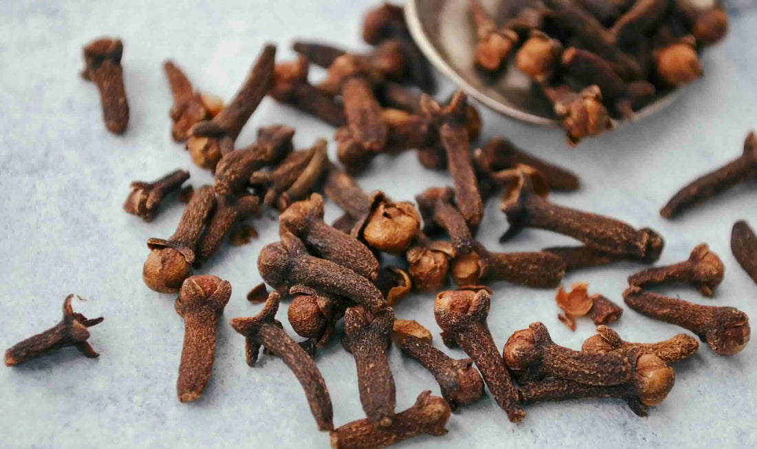 Cloves for join paint
