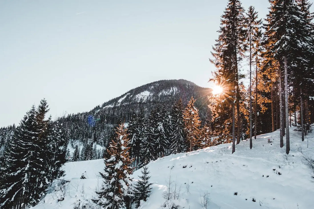 Don’t Let Others Define You: The Quiet Strength of Personal Sovereignty