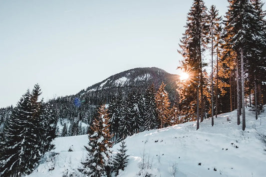 Don’t Let Others Define You: The Quiet Strength of Personal Sovereignty