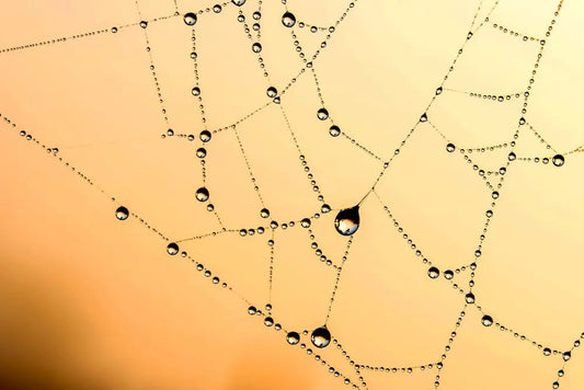 Delicate spider web adorned with glistening water droplets against a warm yellow background, symbolising subtle connections, hidden influences, and the intricate flow of energy, thought, and emotion