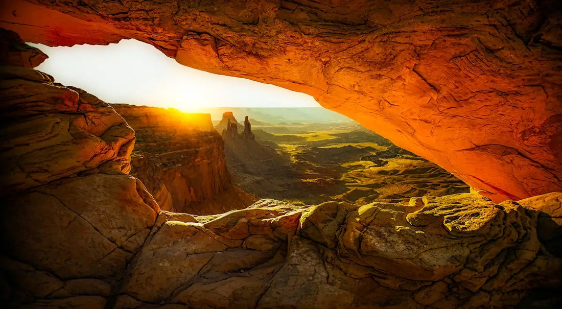 Seek It, and You Will Find It: Mindfulness, Self-Discovery & Holistic Growth